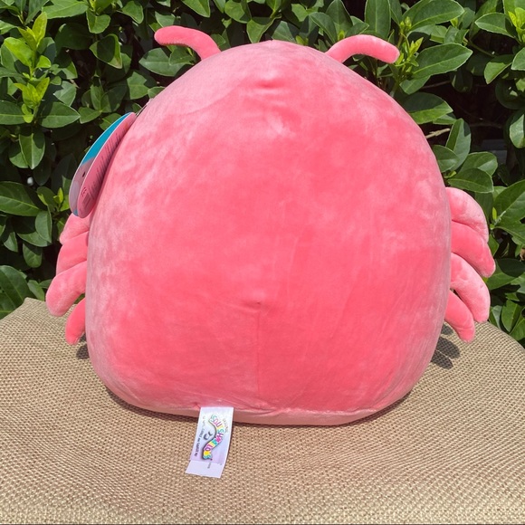SHRIMP “Simone” Coral Squishmallow 11” NWT - Picture 2 of 7